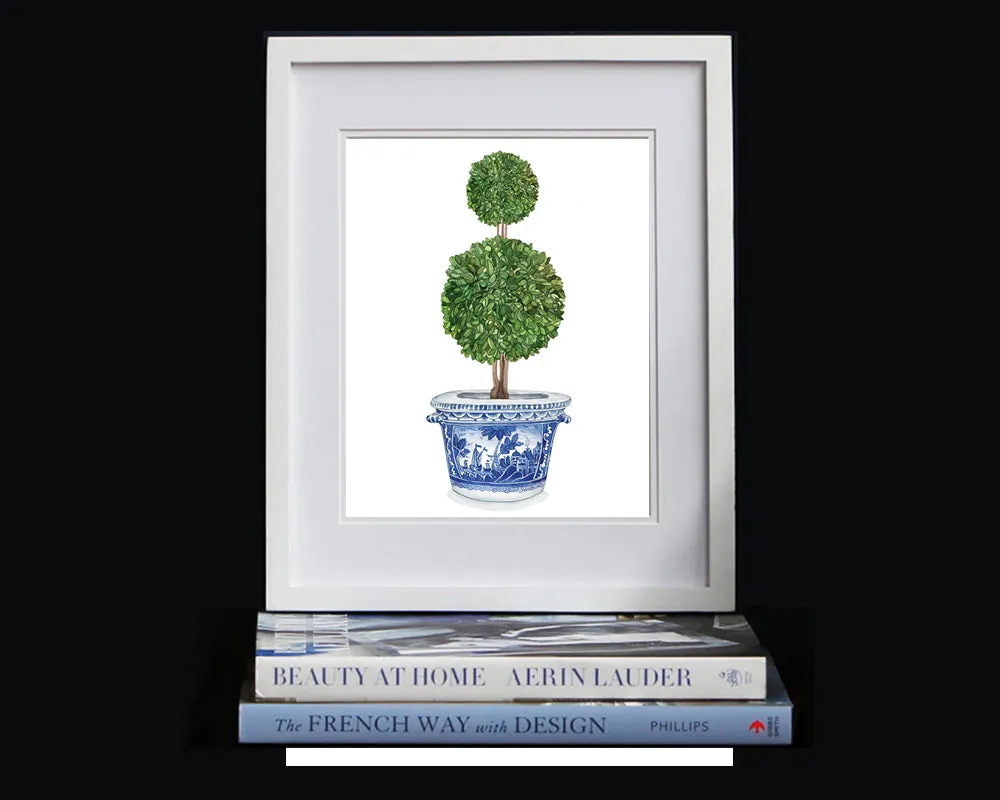 Print of double ball topiary tree in blue and white pot