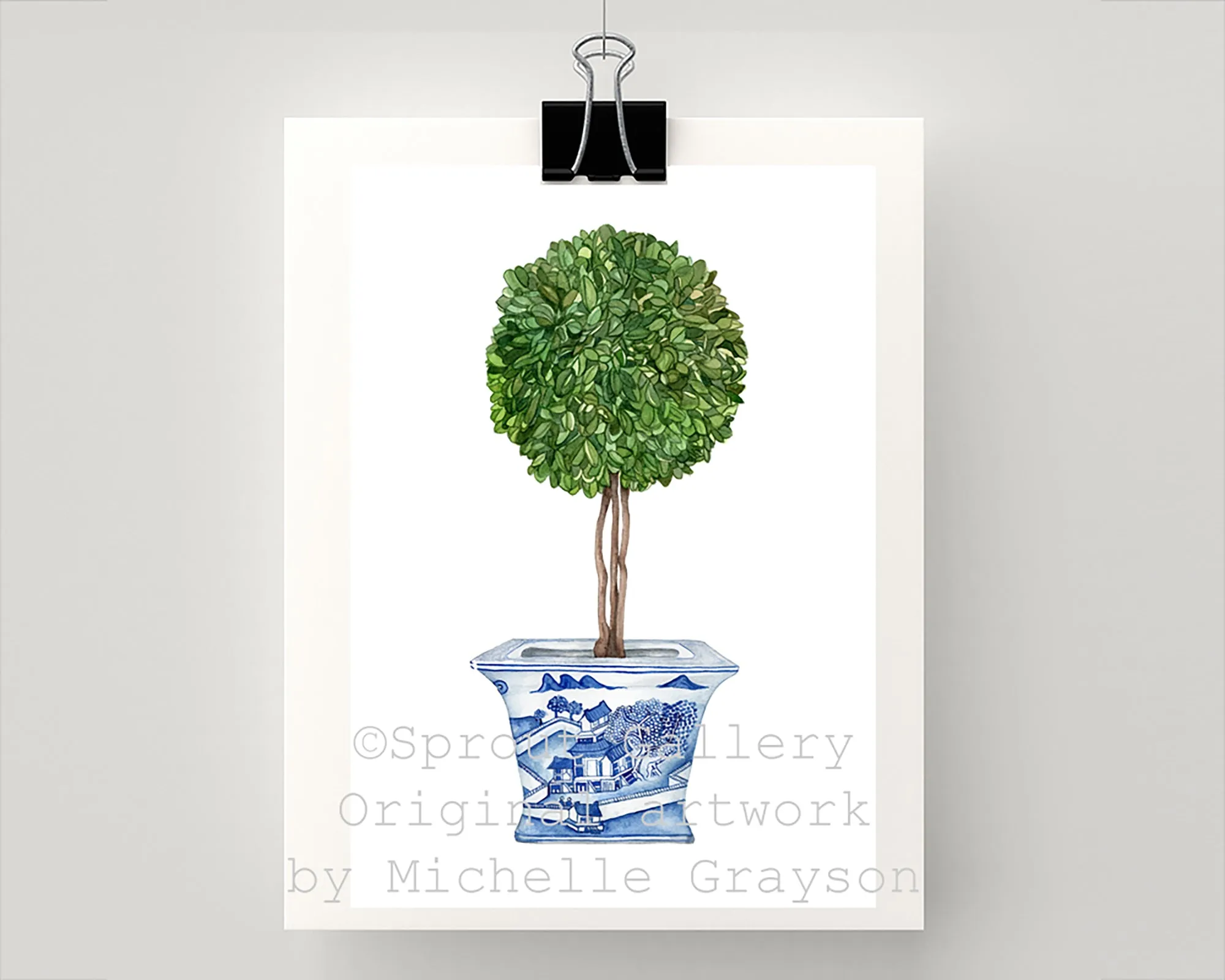 Print of double ball topiary tree in blue and white pot