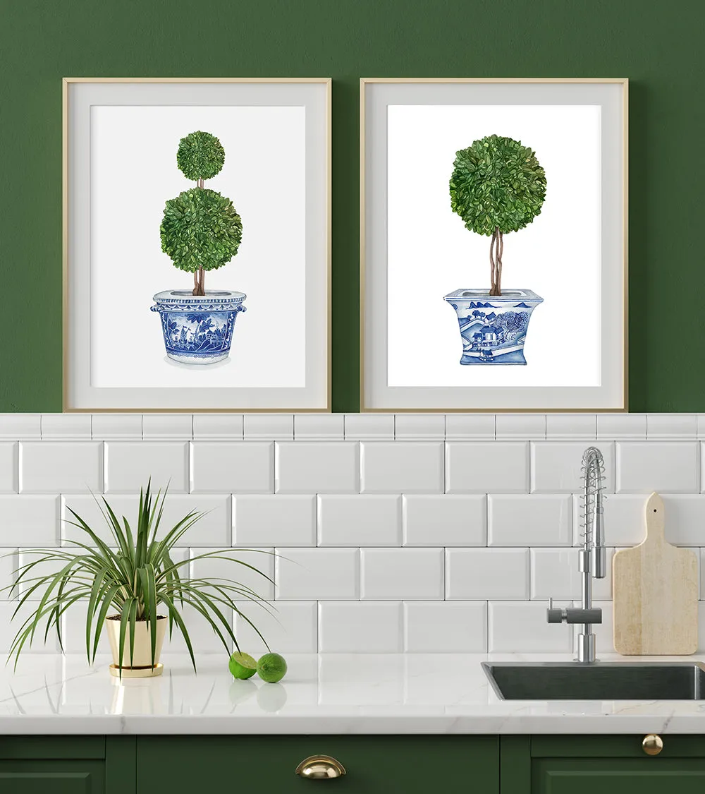 Print of double ball topiary tree in blue and white pot